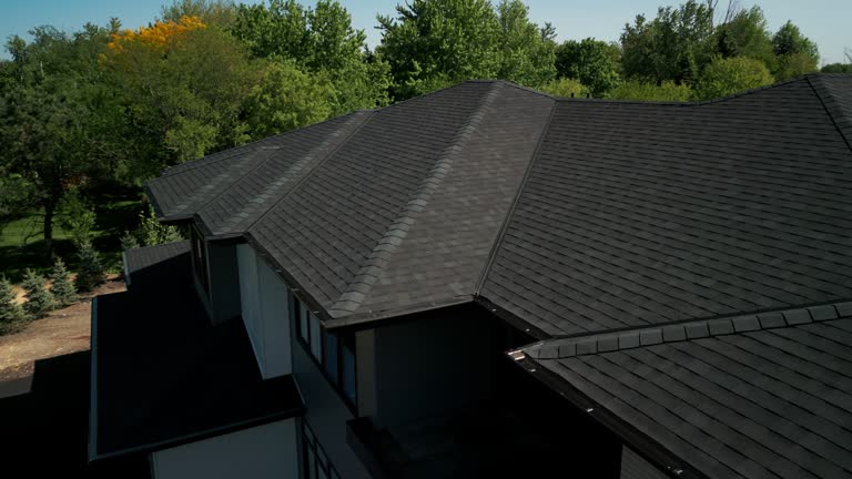 Best Commercial Roofing Services  in Bensenvle, IL