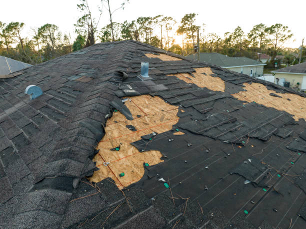 Best Flat Roofing  in Bensenvle, IL