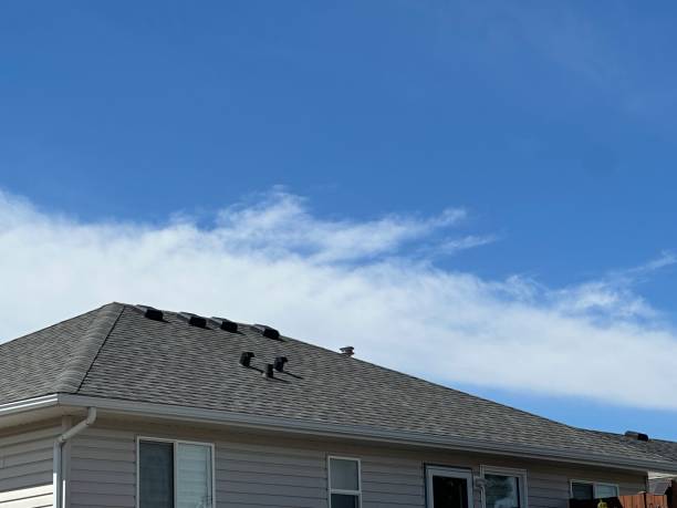 Best Roof Maintenance and Cleaning  in Bensenvle, IL